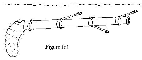 Figure (d): Layered Rhizome Cutting