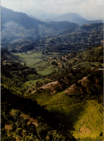 Terraced Hillsides of Nepal